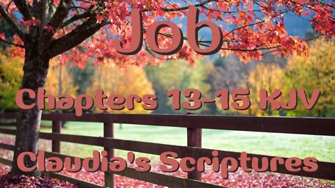 The Bible Series Bible Book Job Chapters 13-15 Audio