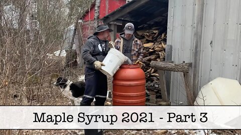 Maple Syrup 2021 - Part 3