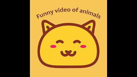 Funny Video Of Cats