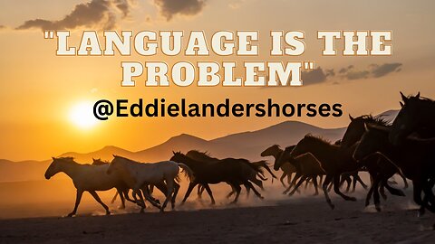 Language is the problem