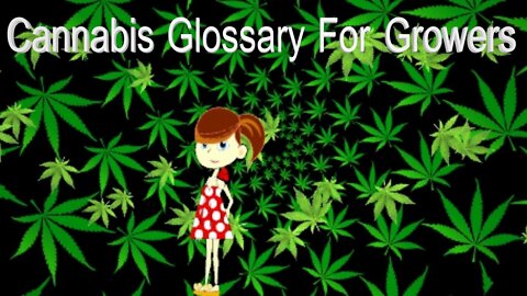 Cannabis Glossary