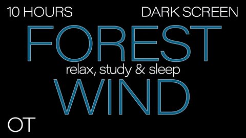 FOREST WIND Sounds for Sleeping | Relaxing | Study | BLACK SCREEN | Real Storm Sounds | SLEEP SOUNDS