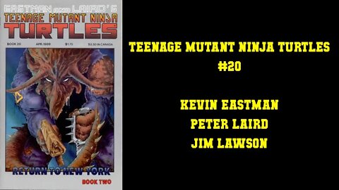 Teenage Mutant Ninja Turtles #20 - RETURN TO NEW YORK BOOK TWO