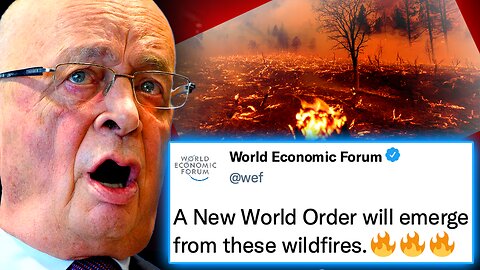 WEF Caught Paying Arsonists To 'Burn Down the World' as Part of Sick Depopulation Plan