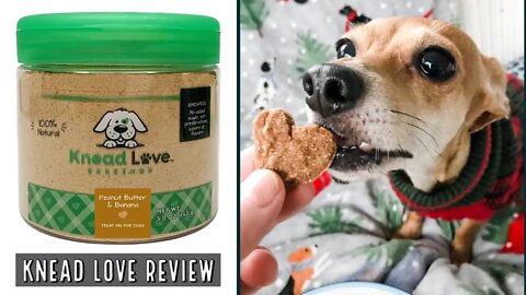 Review of Knead Love's Peanut Butter & Banana Dog Treats