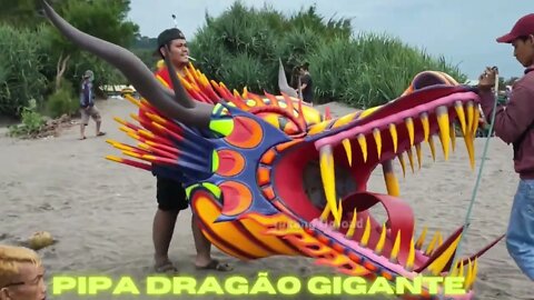 Pipa DRAGÃO GIGANTE, pipas exóticos.