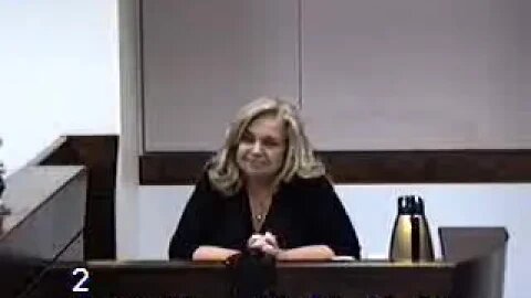 Nevada Attorney Donohue matter before Cheryl Moss Clark County Family Court Judge 3/19/18 2-2