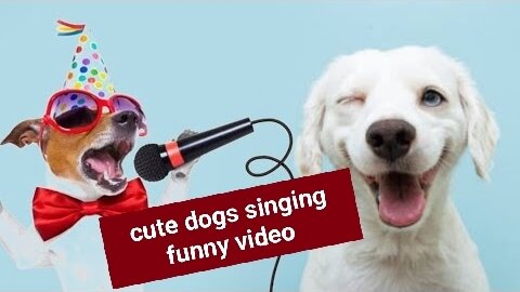 Cute dogs singing funny video