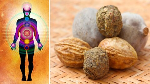 Triphala: An Ayurvedic Wonder For Detoxification And Rejuvenation