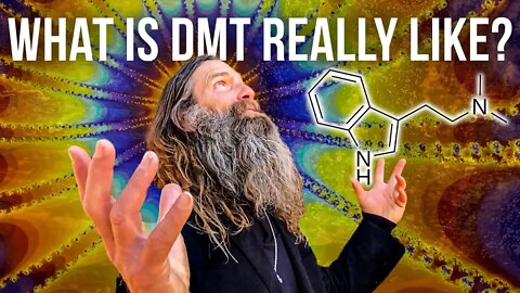 What a DMT Trip is Actually Like | Health Nut Explains