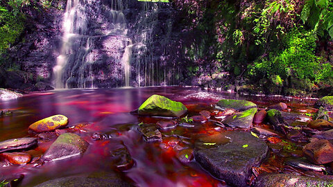 Relaxing Music |Beautiful Water Sound Music, Nature Sleep Music, Calming Music with Singing Birds