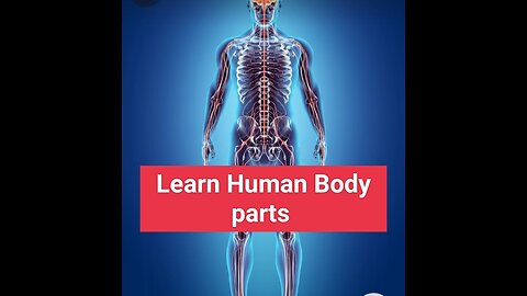 Learn Human body parts step by step