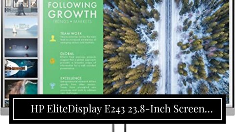 HP EliteDisplay E243 23.8-Inch Screen LED-Lit Monitor Silver (1FH47AA#ABA)