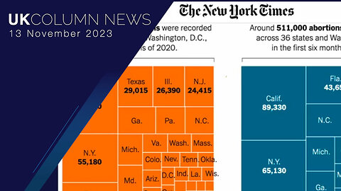 Global Birth Rates—China Falls, America Rises - UK Column News