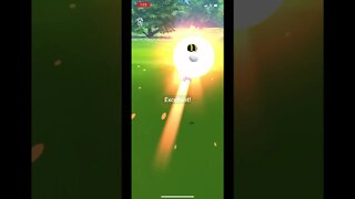 Pokémon Go - Catching Durant Gameplay