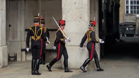 Dismissed #horseguardsparade