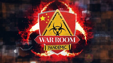 Bannons WarRoom Ep 597: America Under Attack (w/ VandenBerghe, Shaffer, Giuliani, Fredericks)