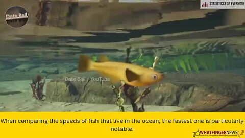 When comparing the speeds of fish that live in the ocean, the fastest one is particularly notable.