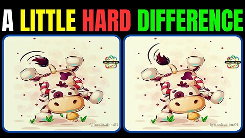 Spot The Difference : A Little HARD Differences [ Find The Difference #12]