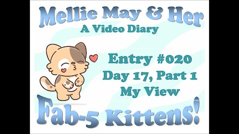 Video Diary Entry 020: Day 17, Part 1 - My View And I Am Loving It!