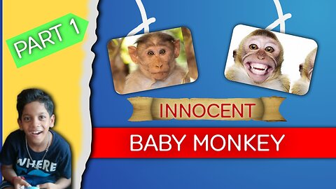 Innocent Baby Monkey