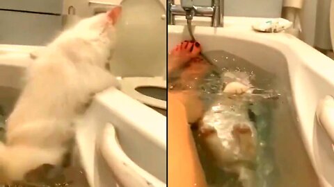 Can This Pussy Swim in Bathtub