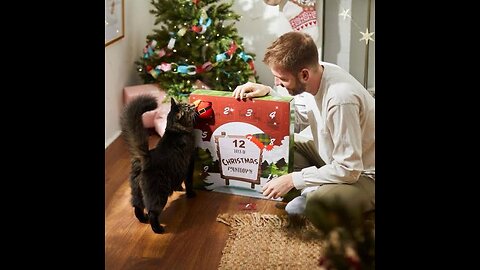 Cat attacks on a Christmas gift