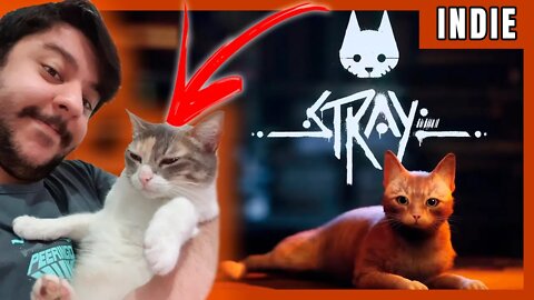 STRAY - SAIU O JOGO INDIE DO GATINHO - JOGO DO ANO?? - #PC #PS4