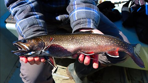 CATCHING BIG SPLAKE After COLD FRONT | Northern Ontario