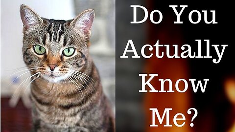 15 Scientific Facts About Cats You Need To Know