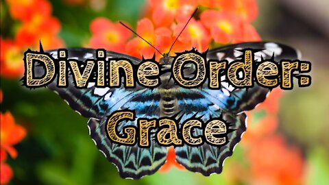 Divine Order: Grace