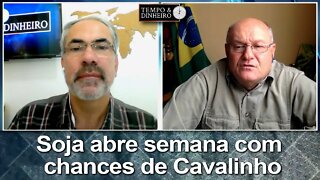 Soja abre semana com chances de Cavalinho