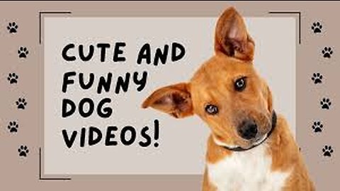 "Puppy Playtime Parodies: Dogs Just Wanna Have Fun!