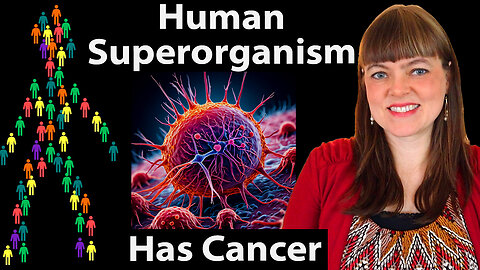 Why does the human superorganism have cancer?