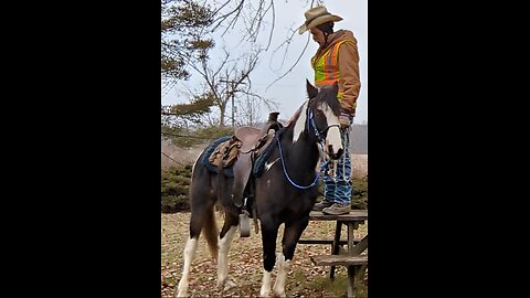 Rain's second session - pick up rider from raised mounting platform - 8 Jan 2024