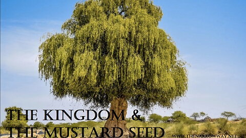 The Kingdom & Mustard Seed