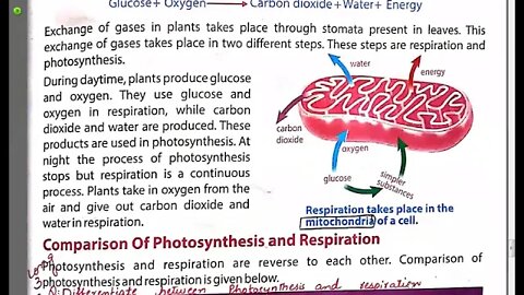 Class 6th Science Photosynthesis and Respiration Long 21 07 2020