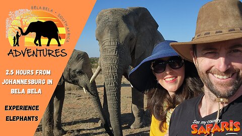 Adventures with Elephants near Bela Bela 2.5 hours from Mabula Lodge