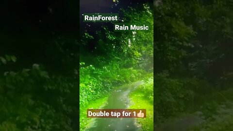 Rain Forest ll Rain Music ll Relaxed Music