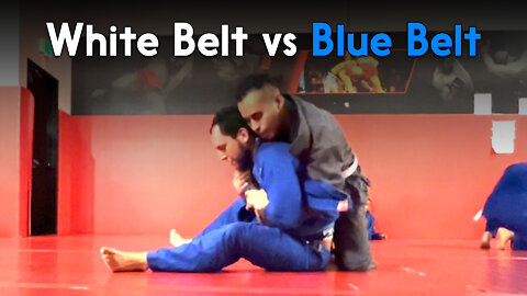 White Belt vs Blue Belt | Circadian MMA (10-10-2022)