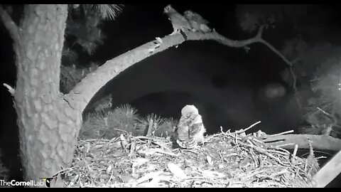 Dad Delivers Breakfast 🦉 4/2/22 05:12