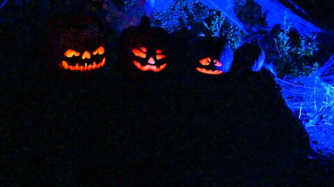 Jack O Lantern Jamboree projection Halloween 2014