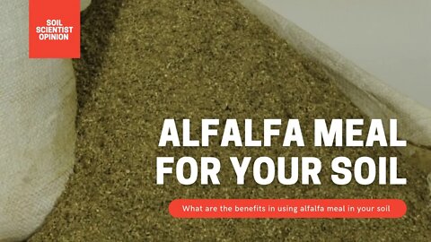 How To Use Alfalfa Meal In The Garden. A Soil Scientist Look At Alfalfa. | Gardening in Canada