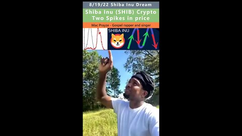 Shiba Inu (Shib) 2 Price Spikes dream - Mac Prayze 8/19/22