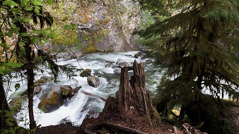 Hiking from House Rock Campground Bridge @ South Santiam River UP TO House Rock Falls! | Oregon | 4K