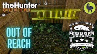 The Hunter: Call of the Wild, Out of Reach, Mississippi Acres (PS5 4K)