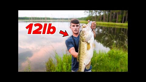 Catching BIGGEST Bass EVER - 12lber (Bank Fishing)