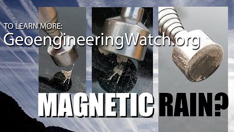 Magnetic Rain? (Activist Video)