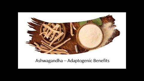 Ashwaghanda Adaptogenic Benefits