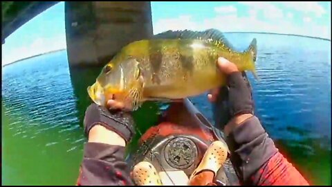 #5 Fishing Peacock Bass on the Bridge Pillar - Kayak Fishing - Ultralight Fishing - Pesca de Tucunaré